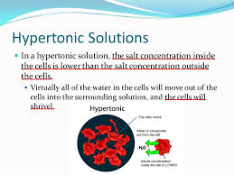 We did not find results for: Keystone Biology Remediation Ppt Download
