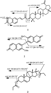 Image result for Dictyophleba lucida
