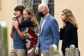 Image result for Bidens grantii