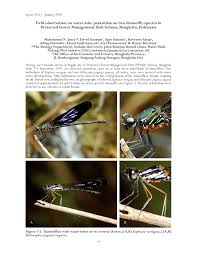 PDF) Field observation