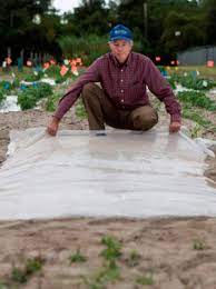 Check spelling or type a new query. Soil Solarization Gardening Solutions University Of Florida Institute Of Food And Agricultural Sciences