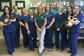 Pet beim führenden marktplatz für gebrauchtmaschinen kaufen. Four Paws Veterinary Hospital Celebrates 10 Years In Riverview The Observer News South Shore Riverview Sun City Center