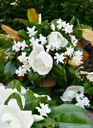 Parsley Sage Rosemary And Thyme Herb Laminated Biscuits Gardenia Fragrant Garden Flower Arrangements