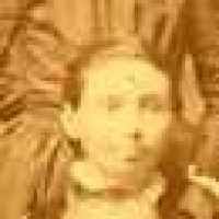 Eugena Goffinet (1854–1910)