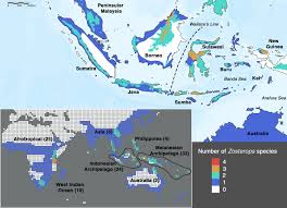 Sri narayana guru kritikal with malayalam commentary, narayana guru malayalam ebook, v balakrishnan, sri narayana guru malayalam biography sree narayana guruvinte sampoorna krithikal with malayalam commentary by v balakrishnan. Phylogenomics Of White Eyes A Great Speciator Reveals Indonesian Archipelago As The Center Of Lineage Diversity Elife