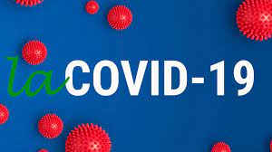 Se Dice El Covid 19 O La Covid 19