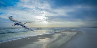 Reviews - Kimberly Lang