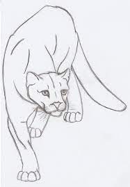 Mountain Lion Quick Sketch By Metalharpey On Deviantart Lion Drawing Lion Sketch Lion Drawing Simple Painter camtasia studio wacom tablet for free art resources, like photoshop brushes, reference images. mountain lion quick sketch by
