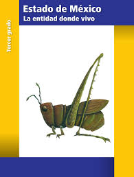 Start studying revision de geografia 4to grado. Entidad Donde Vivo Estado De Mexico By Raramuri Issuu