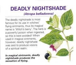 100 Online Free Detox Guide E Course Magickal Herbs Herbs Magical Herbs