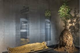 Opting for a woodland burial where you will have a more traditional burial but still become a tree when you. Organic Burial Pods Everything You Need To Know