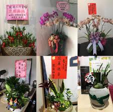 【full】八零年代跑男泥地打滚 大型翻车现场还是激烈撕名牌 《奔跑吧兄弟3》running man s3 ep2 20151106 浙江卫视官方hd. äººäººæœ‰åŠŸç·´å¥èº«å·¥åŠ é–‹å¹•å„€å¼ å–¬å·¥ä½œå®¤ä»Šæ—¥ä¸Šåˆå‰æ™‚é–‹å¹•æ‹œæ‹œå›‰ Facebook