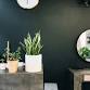Mother's Day Pop-Up — Brass Velvet Trading Co.