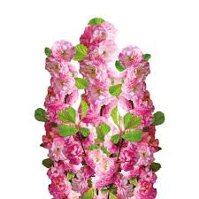 Image result for mandloň trojlaločná