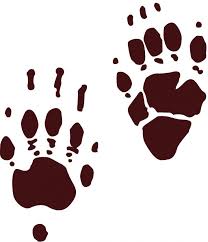 Explore our huge selection today! Skunks How To Get Rid Of Skunks In The Garden The Old Farmer S Almanac