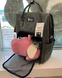Large in size and extremely fluffy, the gorgeous feline is becoming bone bone's favorite hobbies include climbing trees and hanging out at the park, making sure he has his yellow, spiked backpack on during all adventures! Bone Biscuit New Backpacks In Stock Purrfect For Cats Facebook