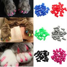 Fayuan Rf 808 Kopek Kedi Tras Makinesi Pet Shop Durbuldum Com