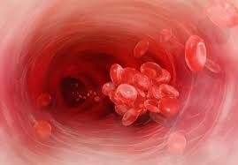 Symptoms of a blood clot in the leg may also be present, such as a red, warm, swollen, and painful leg. Que Es La Trombosis Pulmonar Y Por Que Es Tan Grave