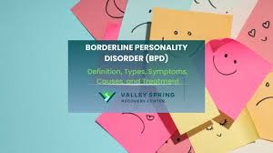 Image result for Borderline Personality