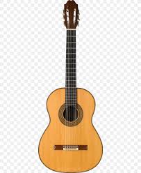 Acoustic Guitar Classical Guitar String Instruments Twelve String Guitar Png 576x1000px Guitar Acoustic Electric Guitar Acoustic This high quality free png image without any background is about guitar, musical, instrument, string, acoustic guitar and electrical. acoustic guitar classical guitar string