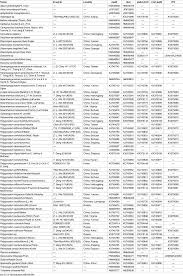 Image result for Behnia reticulata