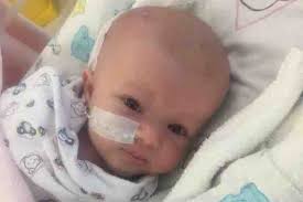 Fundraiser by Matt Stephan : Baby Violet Support Fund