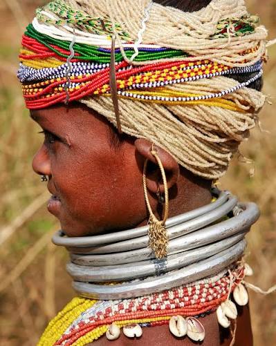Meet the Bonda Tribe: Keepers of Timeless Traditions- Hidden amidst the lush hills of Odisha, the Bonda tribe represents one of India's oldest and most captivating cultures. With a lifestyle harmoniously entwined