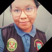 40+ perfiles de «Nuñez Farfan»