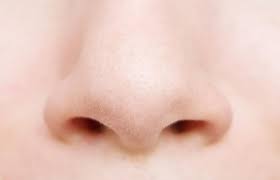 Nose — bezeichnet karl wilhelm nose (um 1758 1835), arzt und autor nose — nose, v. Deviated Septum Causes Symptoms And Treatment