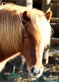 images?q=tbn:ANd9GcS9FJk_CH5lkiy2_YBGsn3uxx6Z7Jf7gGpEYLvWjGj4b-LTRWGR