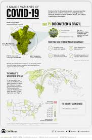 And south africa and other countries. Explained The 3 Major Covid 19 Variants Worldwide