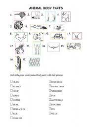 Engaging esl parts of the body games, activities and worksheets to help your students learn and practice body parts vocabulary and language. Animal Body Parts Worksheets