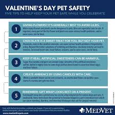See more of pet emergency & trauma services p.e.t.s. Medvet With Valentine S Day Right Around The Corner Our Facebook