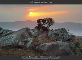 Nature reserves of eswatini (swaziland) are considered among the finest in the entire african continent. Malolotja Photos Images Pictures