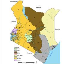 Not to be confused with the defunct county councils of kenya, the counties of kenya are geographical units envisioned by the 2010 constitution of kenya as the units of devolved government. Map Of Kenya Showing 8 Provinces Colored And The 47 Sub National Download Scientific Diagram
