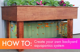 Aquaponics is the combination of aquaculture and hydroponics. Aquaponics System With Soil Download Aquaponics Plans