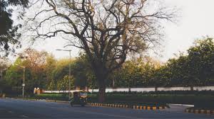 Applicants can visit the delhi government website to apply for a movement or curfew passes. New Lockdown Rules What S Open And What S Not Conde Nast Traveller India India