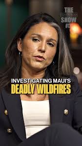 Shawn Ryan and Tulsi Gabbard delve into the conspiracies surrounding the  Maui wildfires, discussing whether they were intentional or not, as well as  the ongoing cleanup and rebuilding efforts. #maui ...