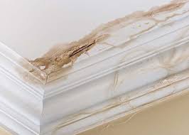 Mold remediation and mold removal services. Water Damage West Hartford 1 Water Damage Restoration