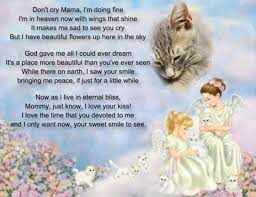 Loss of pet quotes for when a beloved horse has died; Loss Of A Cat Cat Loss Pet Poems Pet Remembrance