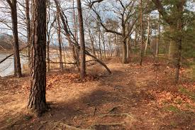 The gas tanks and lighthouse