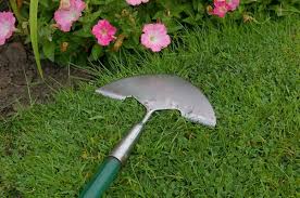 Check spelling or type a new query. Looking After Garden Tools Garden Tips Taverham Nursery Centre Norwich