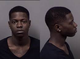 Citrus County Mugshots Feb. 1, 2019