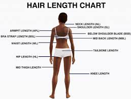 Hair Length Chart Natural Hair Lingo For Hair Growth Afro