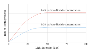 Choose from 500 different sets of flashcards about limiting factors on quizlet. Lesson Worksheet Limiting Factors Of Photosynthesis Nagwa