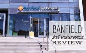 Instead of using the standard. Banfield Wellness Plan Review Is It Worth It Caninejournal Com
