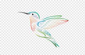 Maybe you would like to learn more about one of these? Hummingbird Png Images Pngwing