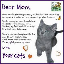 Dear Mom Love Your Cats Cat Poems Cat Parenting Cats