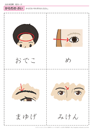 言葉の絵カード 仲間ことば 無料ダウンロード 印刷 幼児教材 知育プリント ちびむすドリル 幼児の学習素材館 japanese language japanese language learning learn japanese