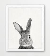 Simple Black And White Animal Prints Rabbit Print Cute Bunny Print Woodlands Animals Photo Nursery Baby Shower Gift Wall Art Baby Animal Black White Photo Kids Room Decor Allatok